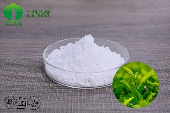 Polvo de extracto de té verde orgánico 84650-60-2 con 10% -98% de polifenoles de té