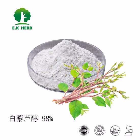 Factory Supply Nature Polygonum Cuspidatum Extract 98% Resveratrol Powder