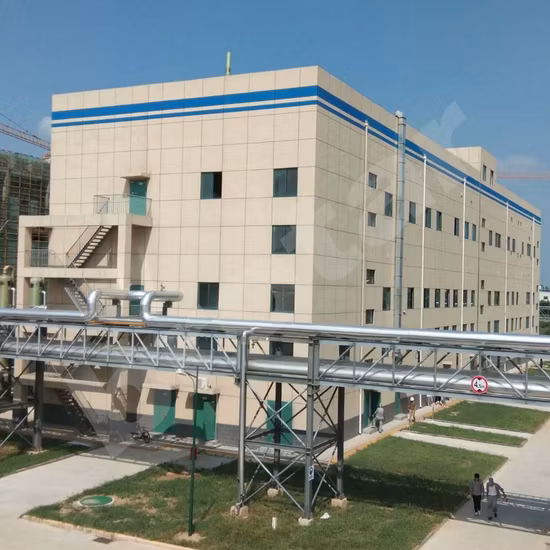 Nuevo extracto vegetal de Huperzia Serrata