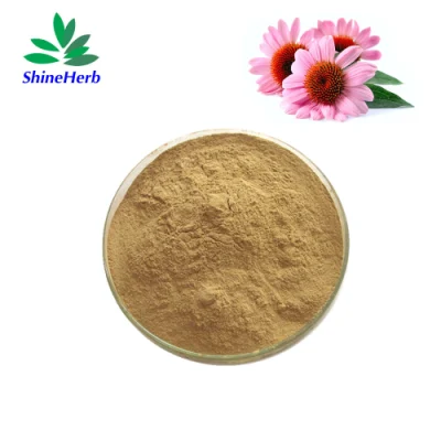 CAS 90028-20-9 Echinacea natural Purpurea Extracto de polvo 4% 7% Echinacea