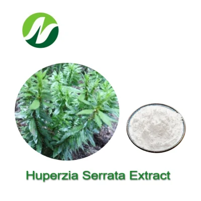 Alto estándar 1%-99% Huperzine a Huperizia Serrata Extracto