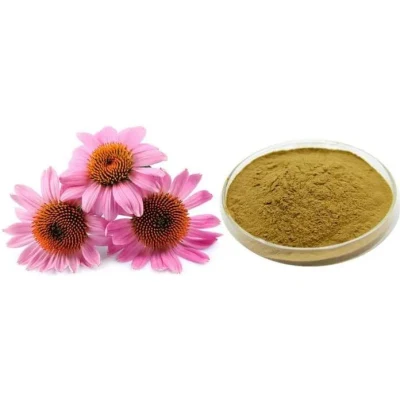 Extracto de Echinacea Purpurea 4% Polifenoles Echinacea Purpurea L Extracto de Echinacea Purpurea